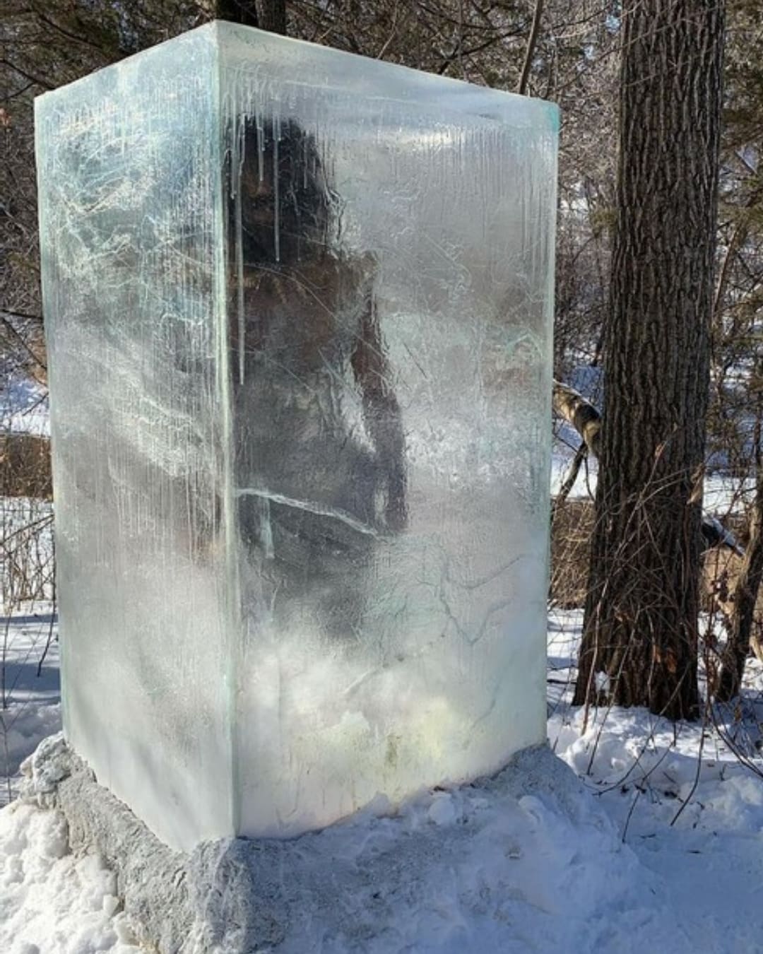 FROZEN